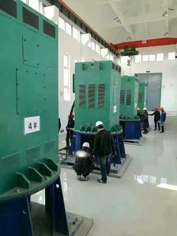 Y710-8某污水处理厂使用我厂的立式高压电机安装现场