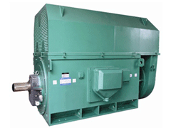 Y710-8Y系列6KV高压电机